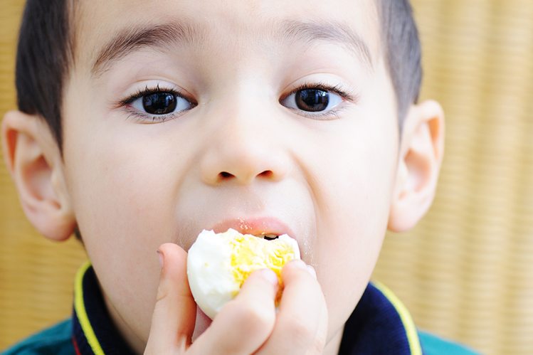 egg helps children gain weight